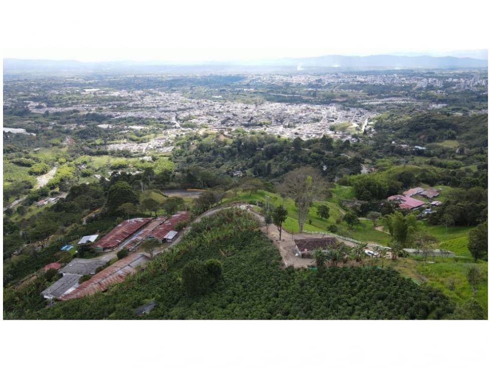 VENTA DE FINCA EN CALARCÁ, QUINDÍO, COLOMBIA - 1