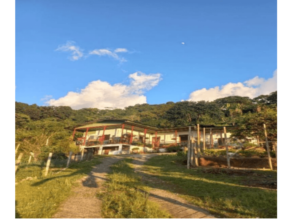 Finca Cafetero de 72 cuadras de alta calidad en venta en Pijao - 1