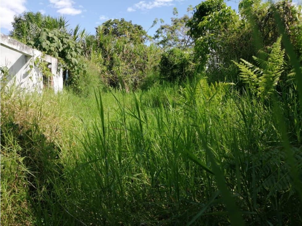 Lote en venta Pueblo Tapao Quindio 5479 - 1