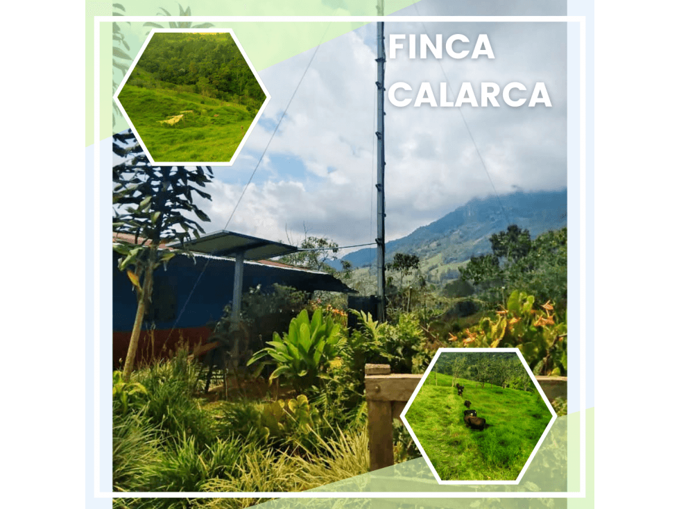 FINCA CALARCA - 1
