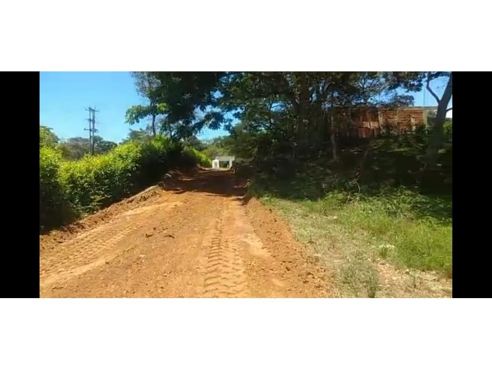 Lote en Venta Carmen de Apicala - 1