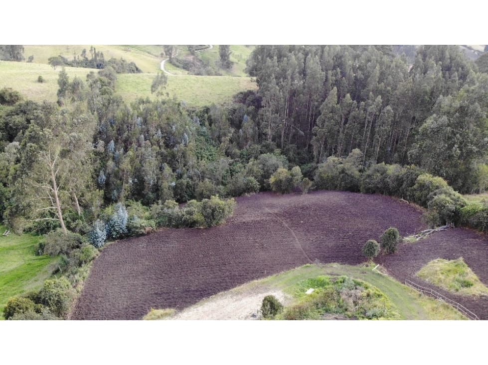 SE VENDE LOTE DE TERRENO EN EL PUYON VEREDA SAN JORGE - 1