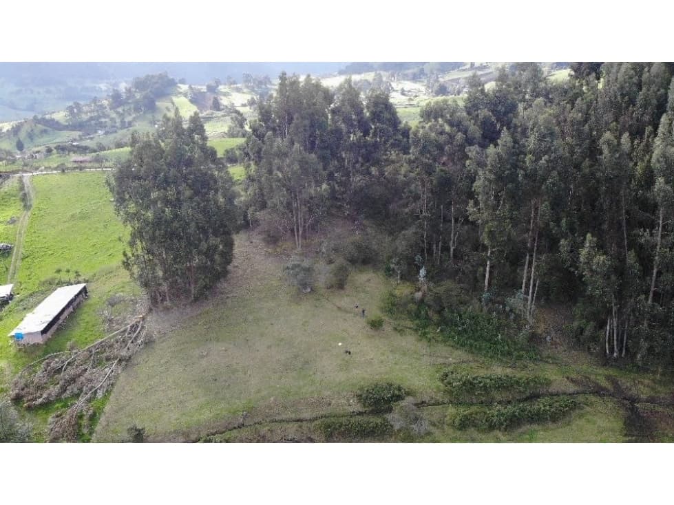 SE VENDE FINCA CON VISTA SOBRE PLACA HUELLA EN SAN ISIDRO - 1