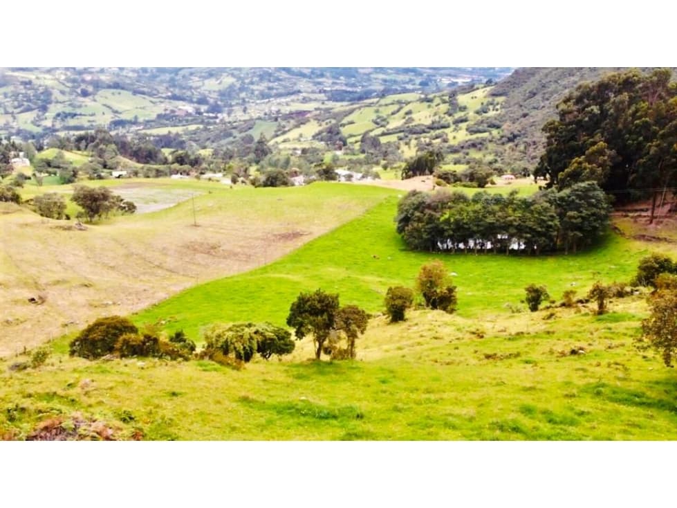 SE VENDE FINCA CON VISTA HACIA EL VALLE DE RÍO FRÍO - 1