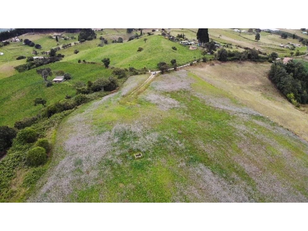 SE VENDE FINCA EN EL SECTOR DEL ALTO DEL GALLO EN SAN JORGE - 1