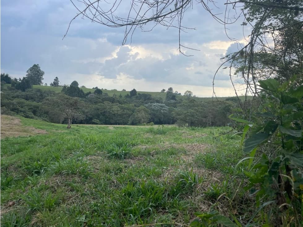 VENTA LOTE CONDOMINIO CAMPESTRE FILANDIA. $840.000.000 - 1