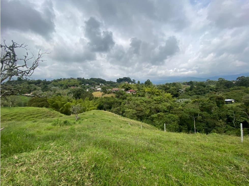 VENTA LOTE 15 MINUTOS CIRCASIA 5000M2 - 1