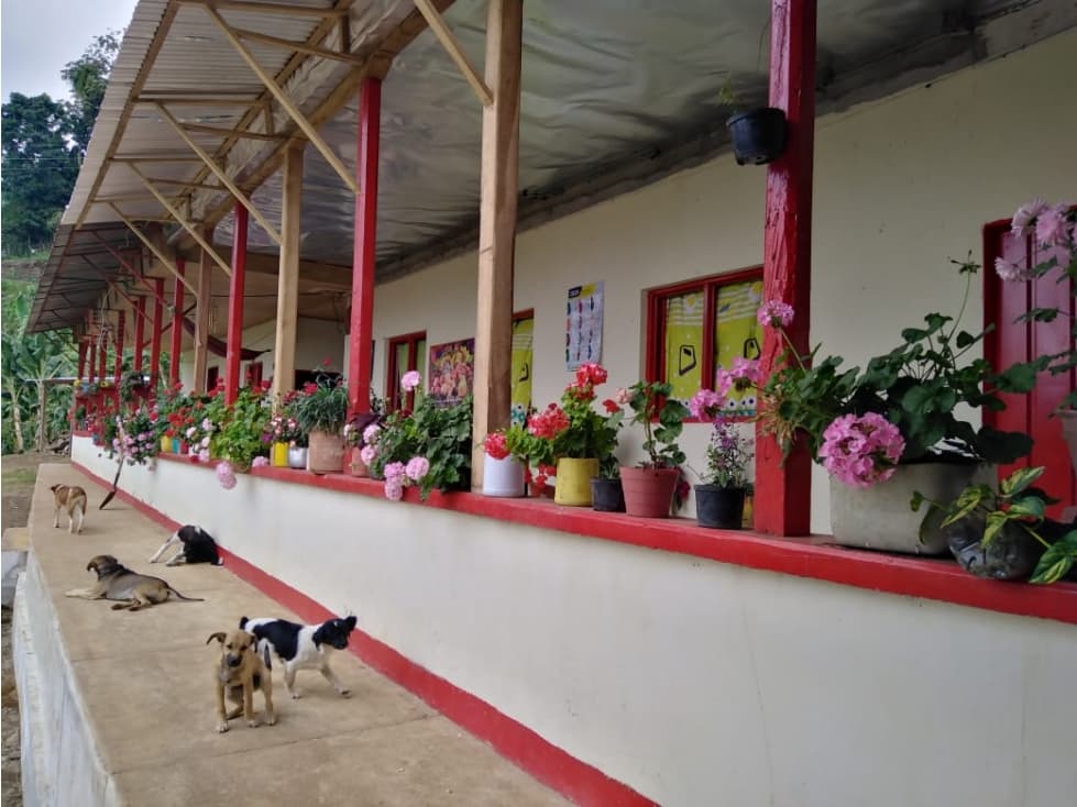 VENTA FINCA PIJAO QUINDIO 35 CUADRAS - 1