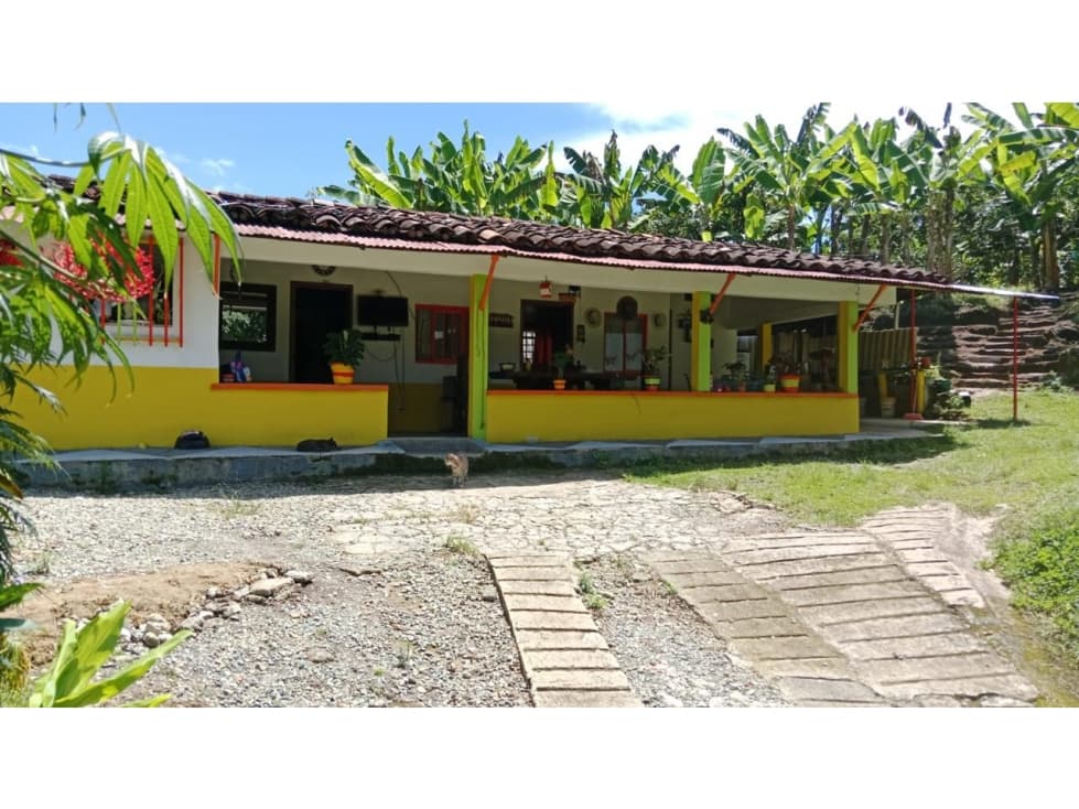 VENTA FINCA 6.000 M2 CERCA DEL PARQUE DEL CAFE - 1