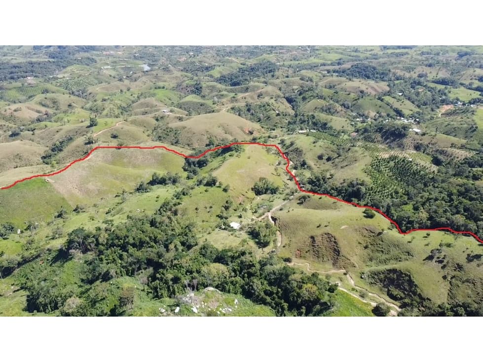 SE VENDE FINCA DE 70 HECTAREAS EN MACEO - LA FLORESTA - 1