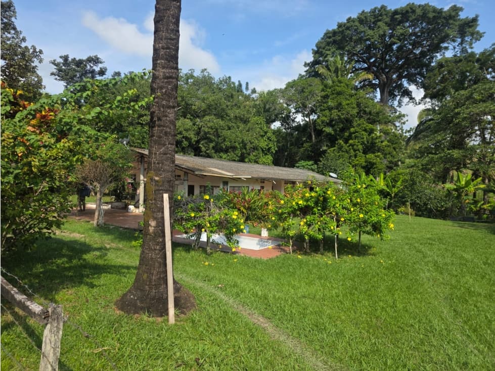 SE VENDE FINCA EN LA DORADA - 1