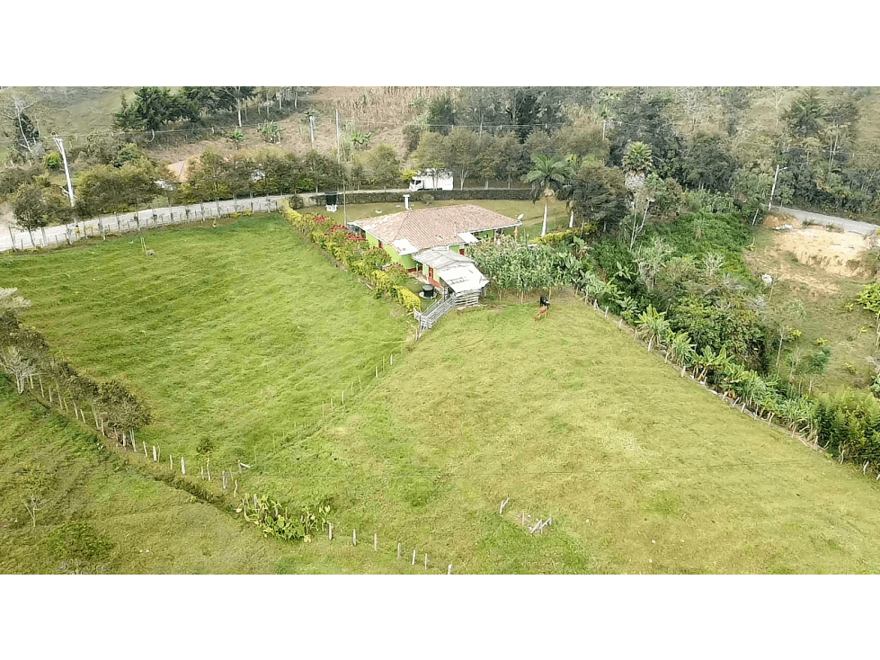 SE VENDE FINCA EN SANTO DOMINGO A 12 MINUTOS DEL PUEBLO - 1