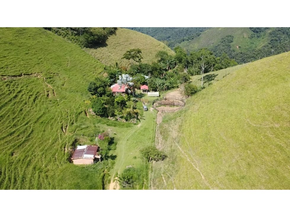 SE VENDE FINCA GANADERA EN MACEO A 3 KM DE LA VIA PPAL - 1