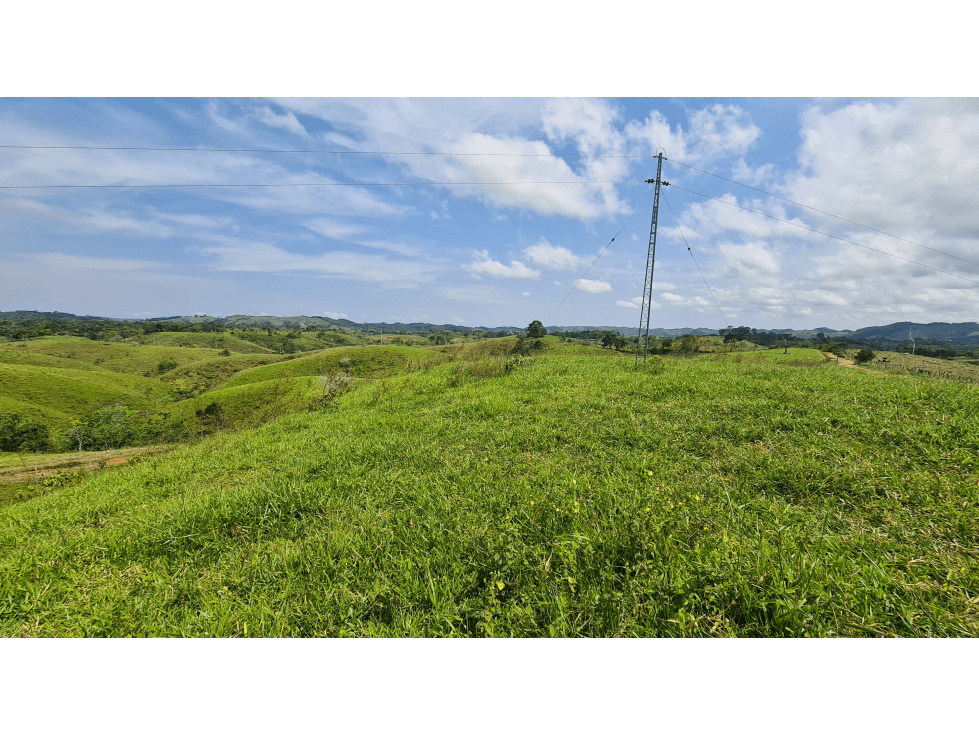 SE VENDE FINCA GANADERA EN MACEO A 500 MT DE LA VIA PPAL - 1