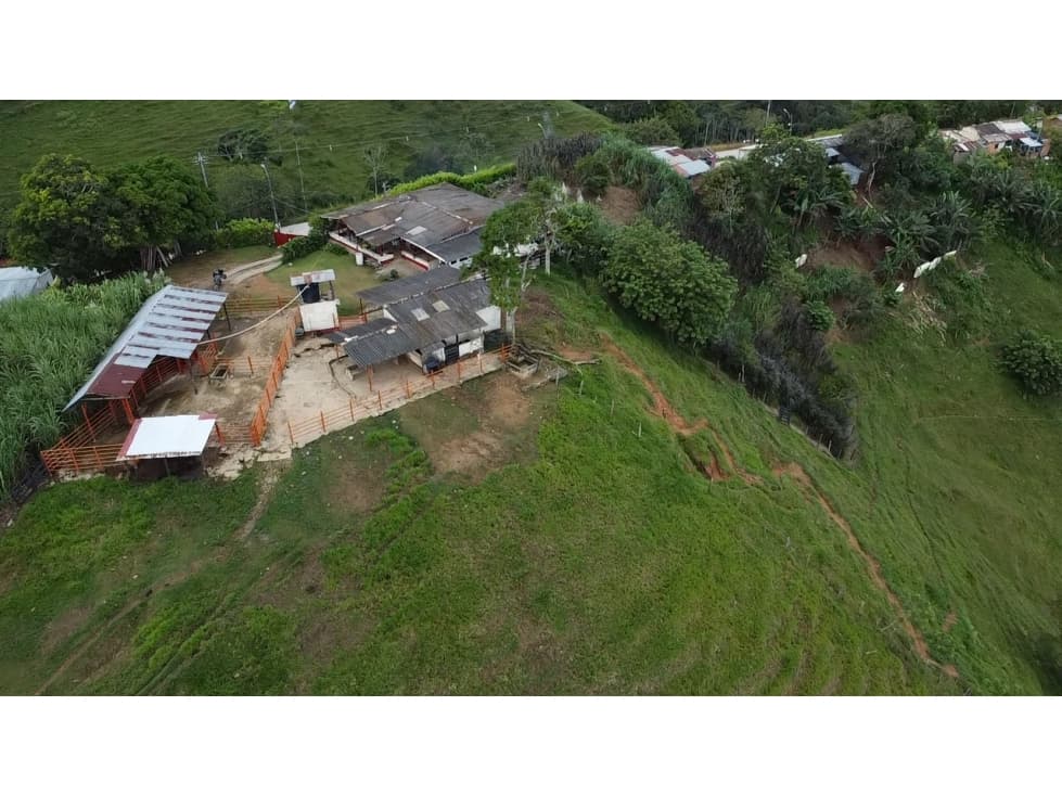 SE VENDE FINCA GANADERA EN MACEO LA SUSANA - 1