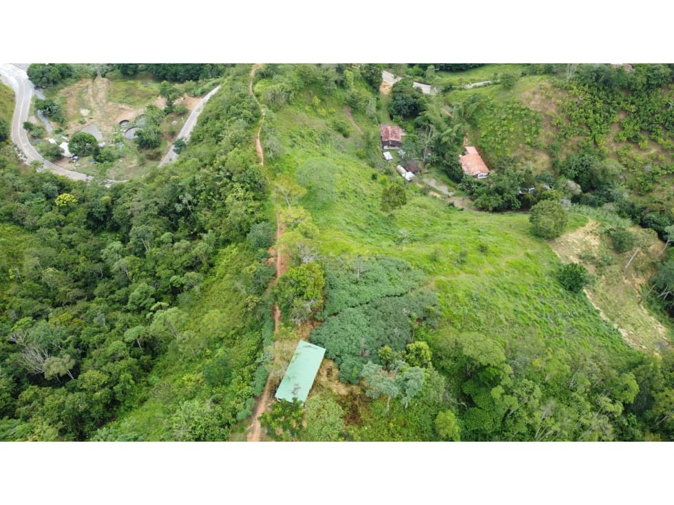 SE VENDE FINCA DE 4 HECTAREAS EN MACEO A ORILLA DE CARRETERA - 1