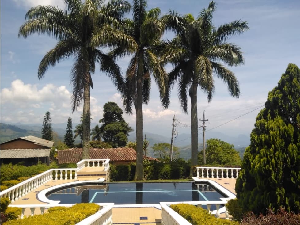 VENDO FINCA A SOLO 5 MINUTOS DE FREDONIA VEREDA EL UVITAL - 1