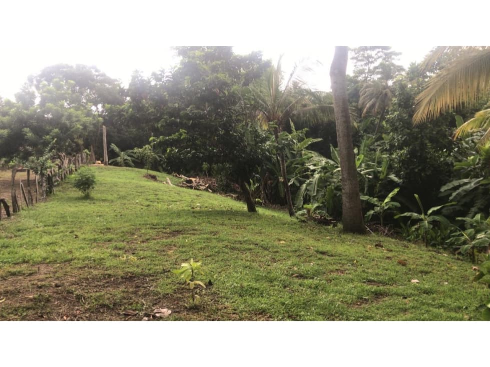 CABAÑA EN VENTA SAN BERNARDO DEL VIENTO CERCA AL MAR - 1