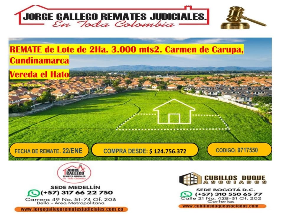 REMATE LOTE 2 Ha - 1