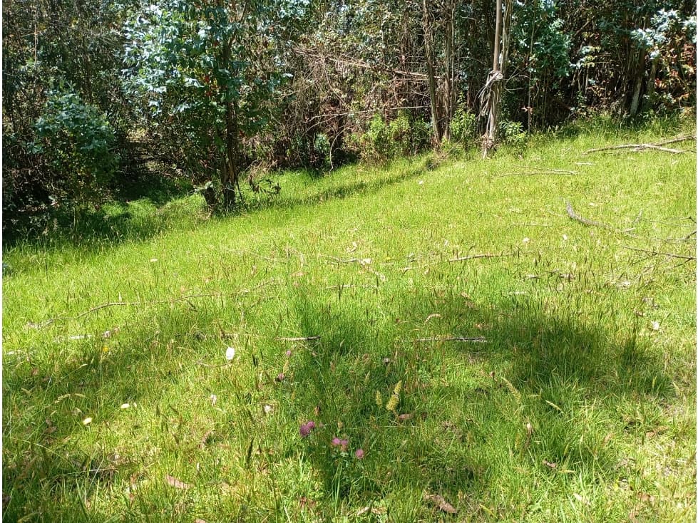 LOTE SE VENDE SOTAQUIRA BOYACÁ - 1