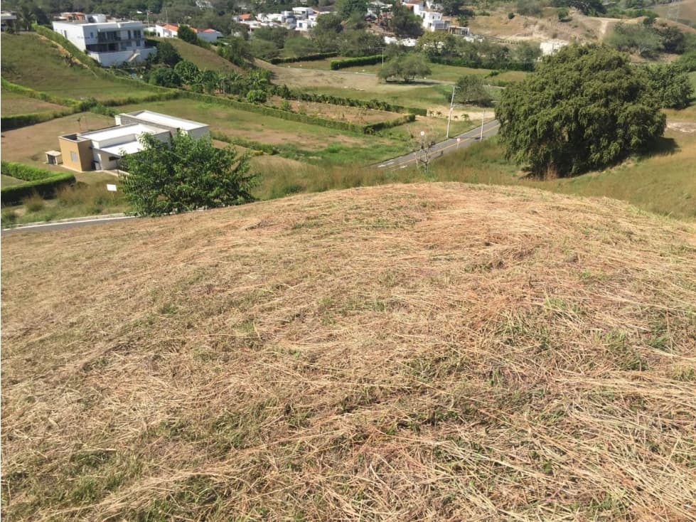 Lote Condominio Campestre Zaragoza Cartago - 1
