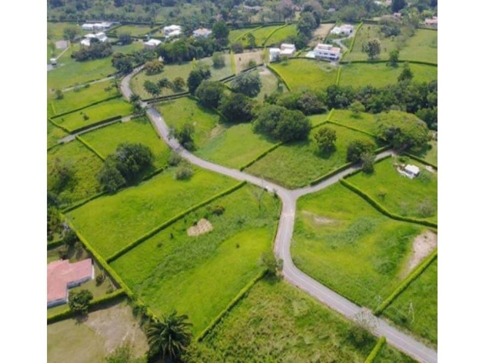Lote Santagueda Palestina - 1