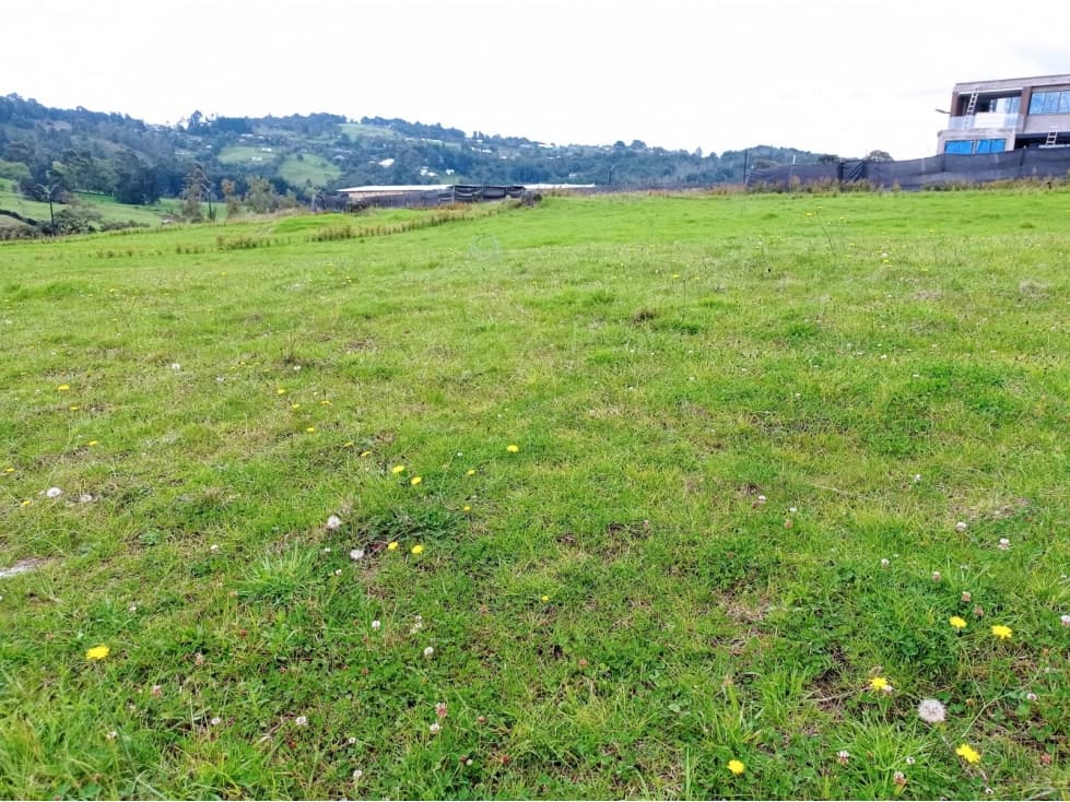 Venta de lote alto de palmas - La Acuarela - 1