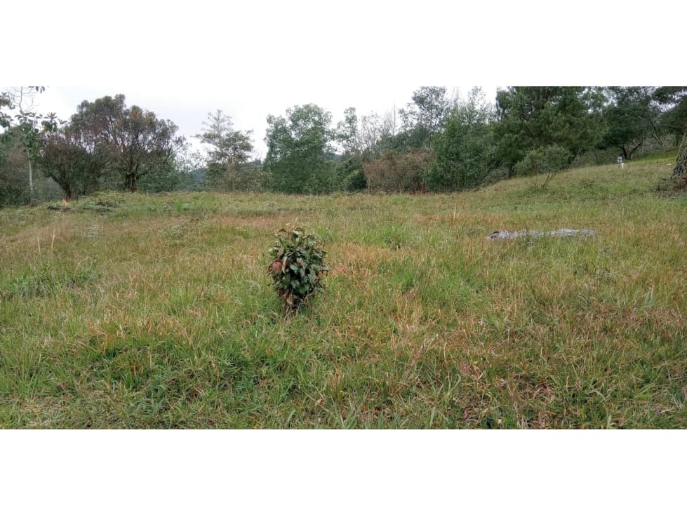 Lote en Venta Sector el Silencio Alto de las Palmas Envigado - 1