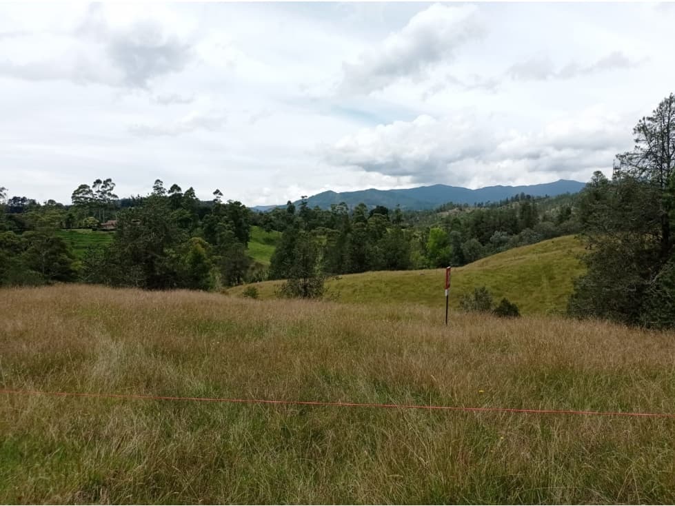 SE VENDE LOTE EN HERMOSA PARCELACIÓN EN EL RETIRO-SECTOR PANTANILLO  - 1