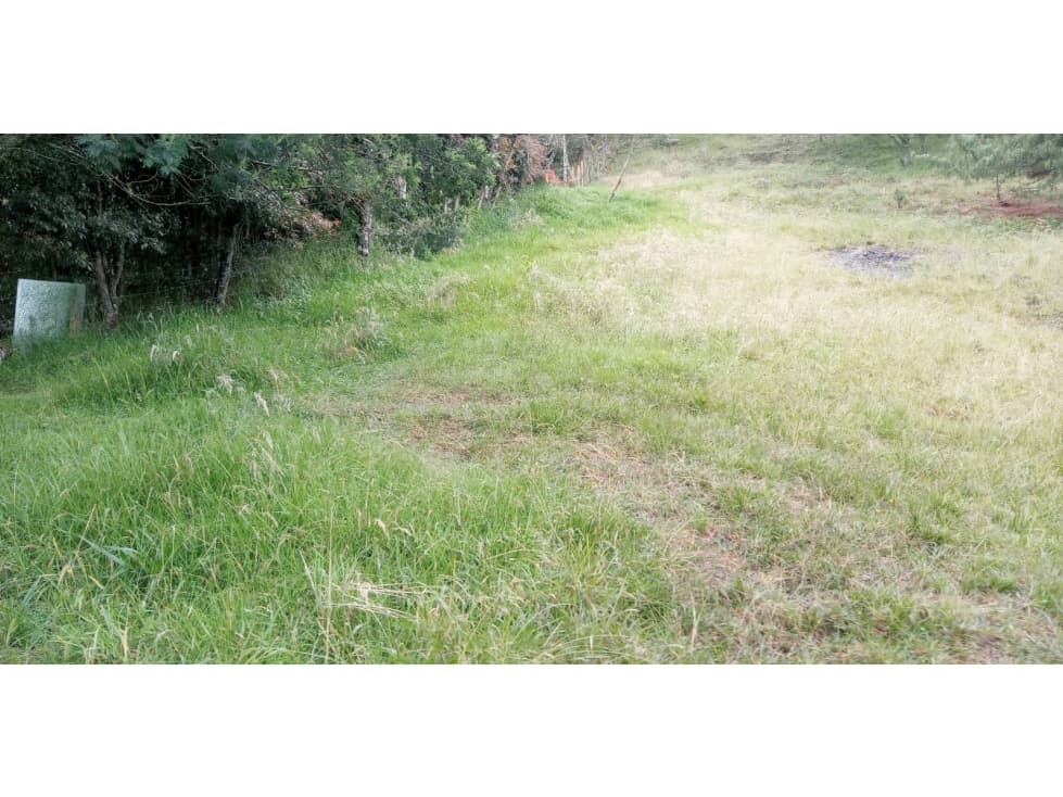 Lote en Venta Alto de las Palmas, Sector el Silencio Envigado - 1