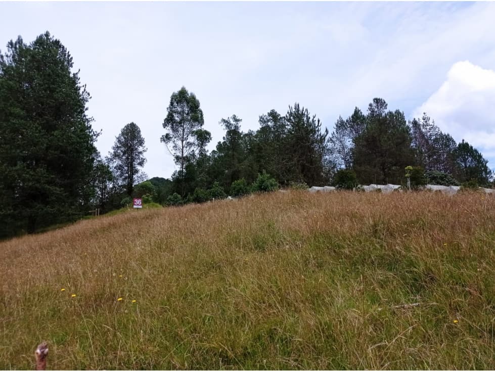 Venta Lote en Hermosa Parcelación en el Retiro,Sector Pantanillo - 1