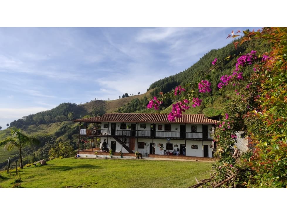 Finca cafetera en Venta en Abejorral - 1