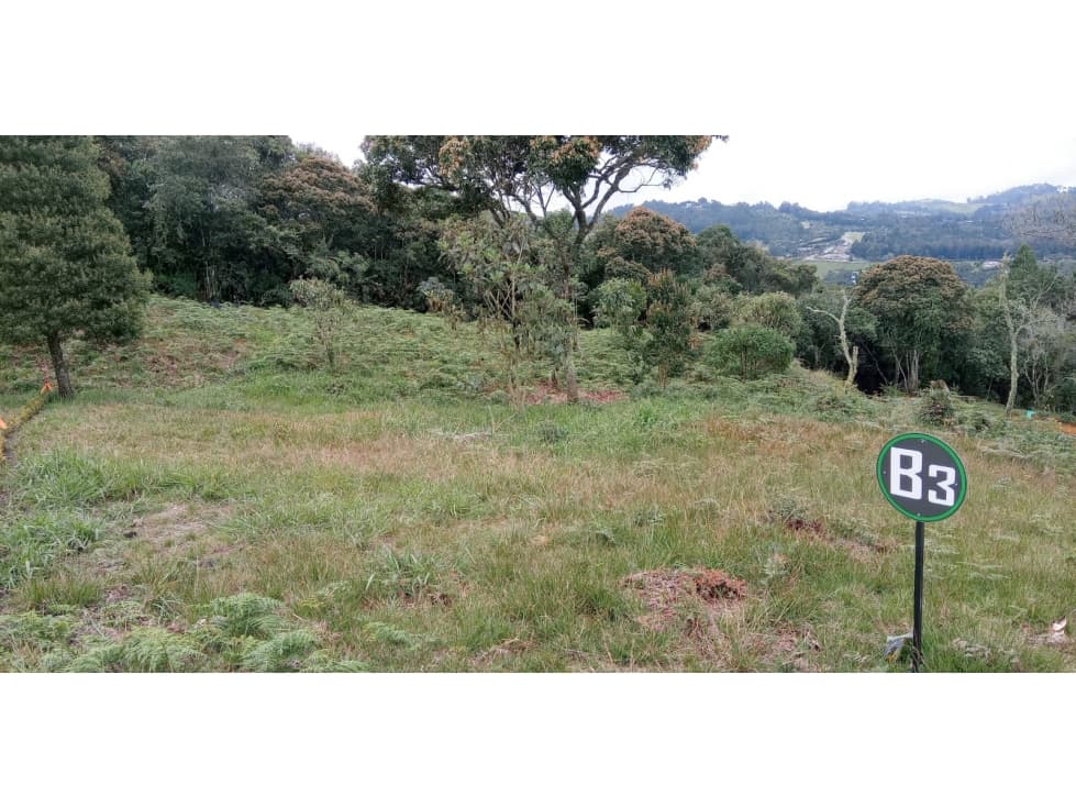 Lote en Venta Sector el Silencio en el Alto de las Palmas Envigado - 1