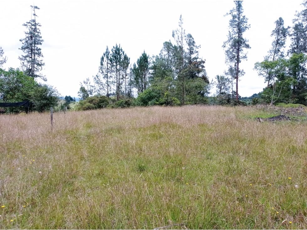 Venta Lote en Hermosa Parcelación en el Retiro, Sector Pantanillo - 1