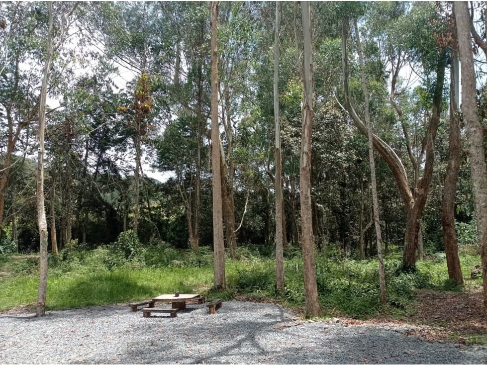 Lote en Hermosa Parcelación en el Retiro, Sector Pantanillo - 1