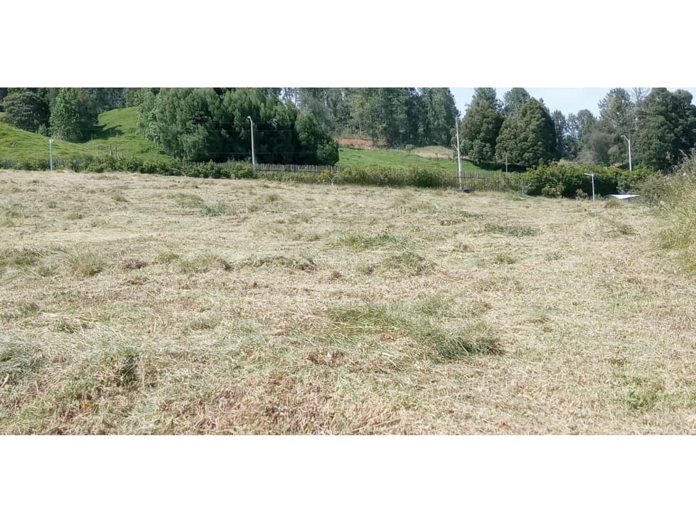 Lote en Venta Sector la Acuarela Alto de las Palmas, Envigado - 1