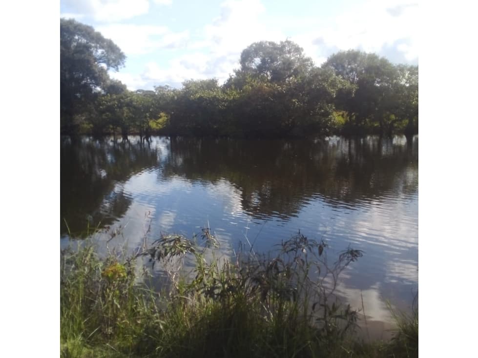 Vendo Finca Puerto Lopez/Llanos - 1