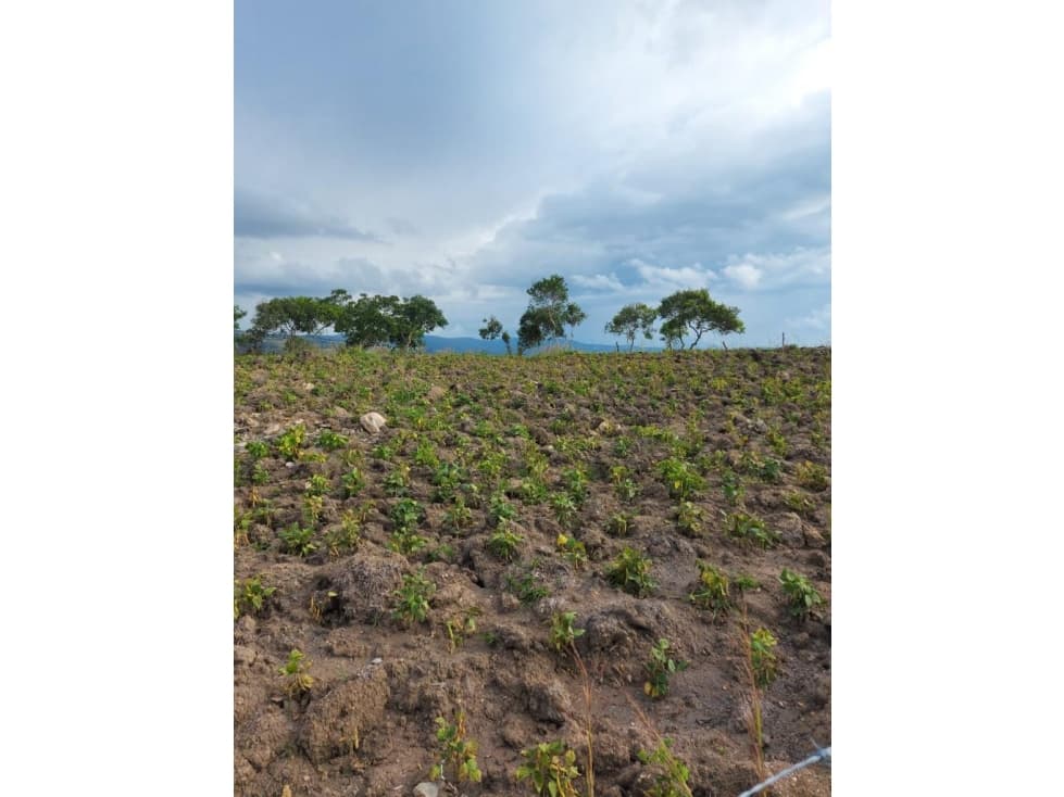 LOTE EN VENTA EN CURITÍ - 1