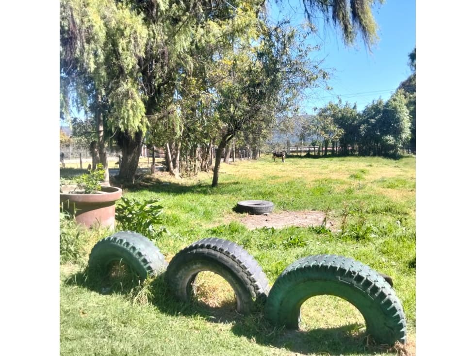VENTA FINCA EN TENJO CUNDINAMARCA VEREDA CHINCHE,CON CASA - 1