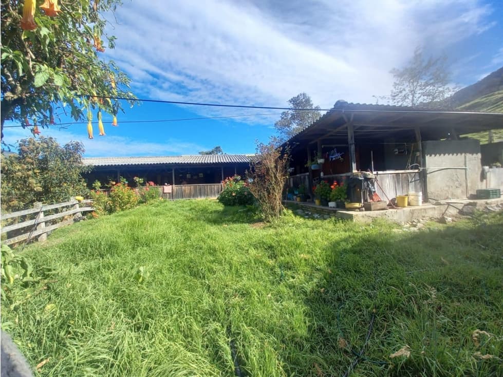 FINCA PRODUCTIVA EN VENTA TENERIFE EL CERRITO VALLE 254 Hectáreas - 1