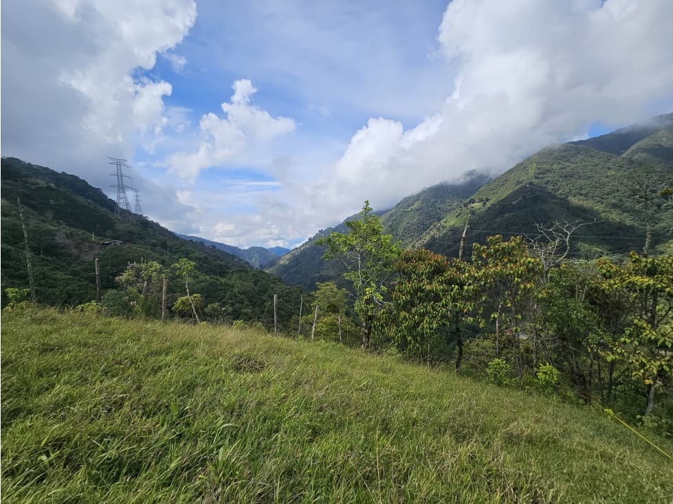 Venta de lote en Santa Bárbara vereda Pitayó lote no. 16 - 1