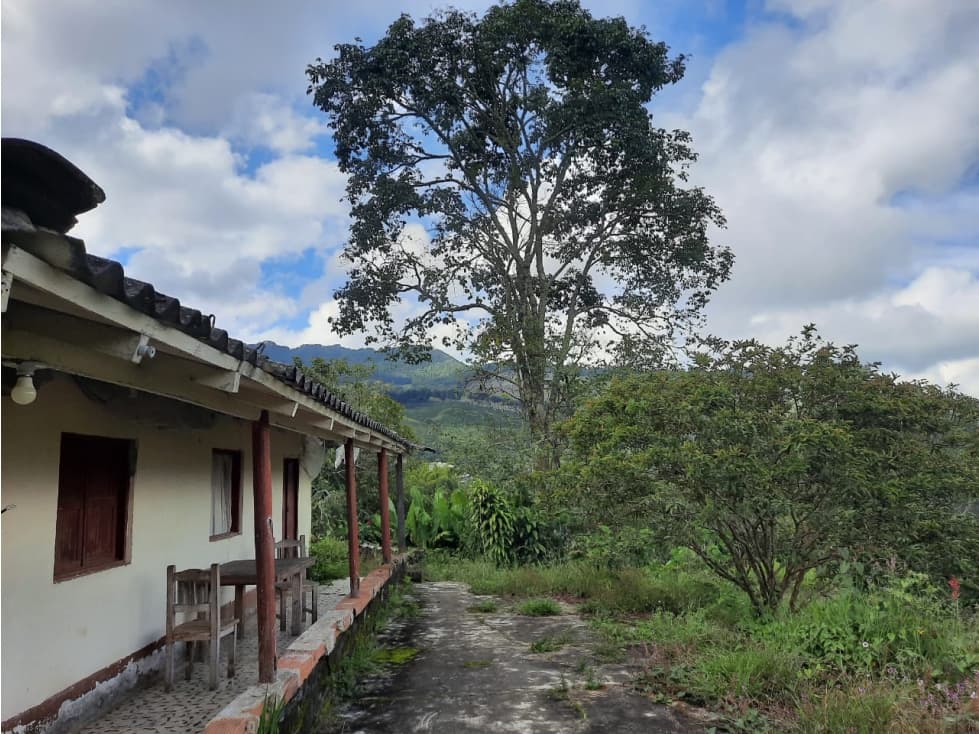 Venta de Lotes en Jericó Antioquia vereda Estrella Nueva - 1