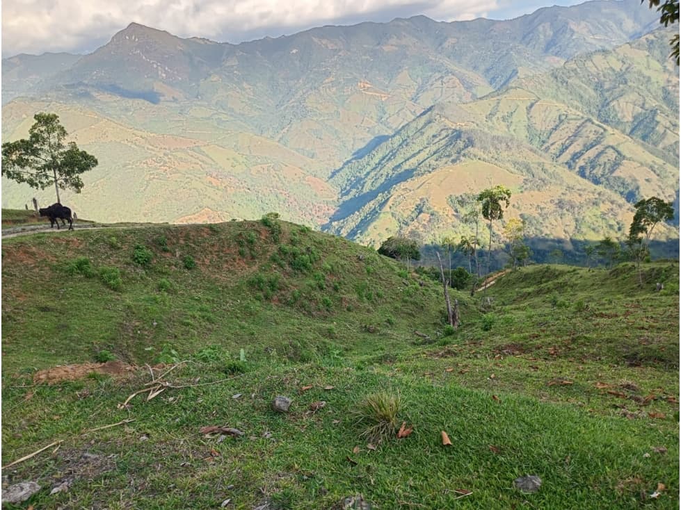 Venta de lote en Santa Bárbara Antioquia vereda Don Santos Lote No. 1 - 1
