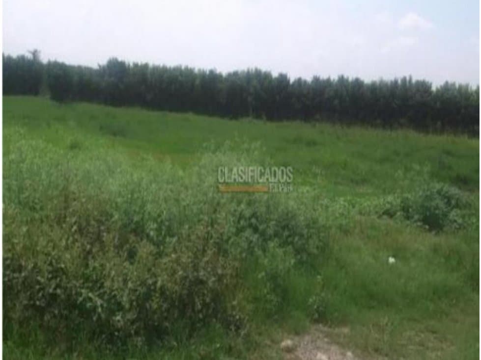 LOTE EN VENTA EN PALMIRA 25.306 m2 - 1