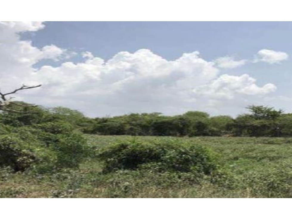 LOTE EN VENTA EN ATLANTICO-Juan MIna 198.000 m2 - 1