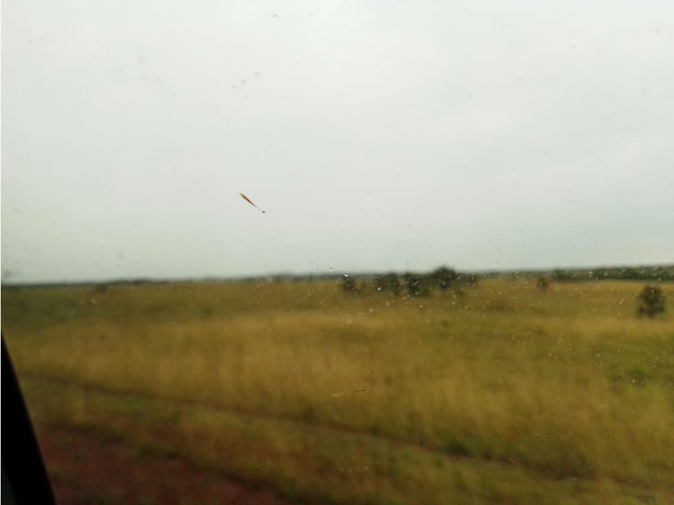 VENTA FINCA EN MURUJUY PUERTO GAITAN META - 1