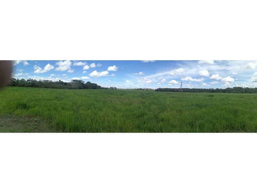 VENTA FINCA EN EL CAIRO BAJO VILLAVICENCIO META - 1