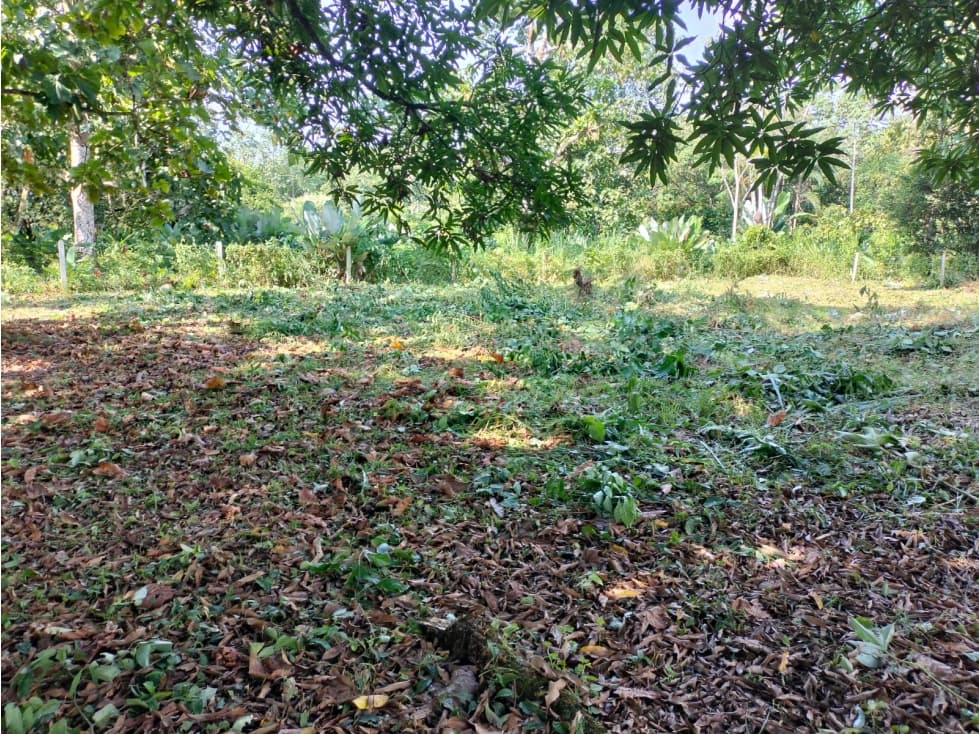 VENTA LOTE EN EL CAIRO BAJO EN VILLAVICENCIO META - 1