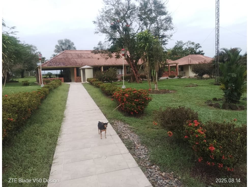 VENTA FINCA A 15 KILOMETROS VIA PTO LOPEZ META - 1