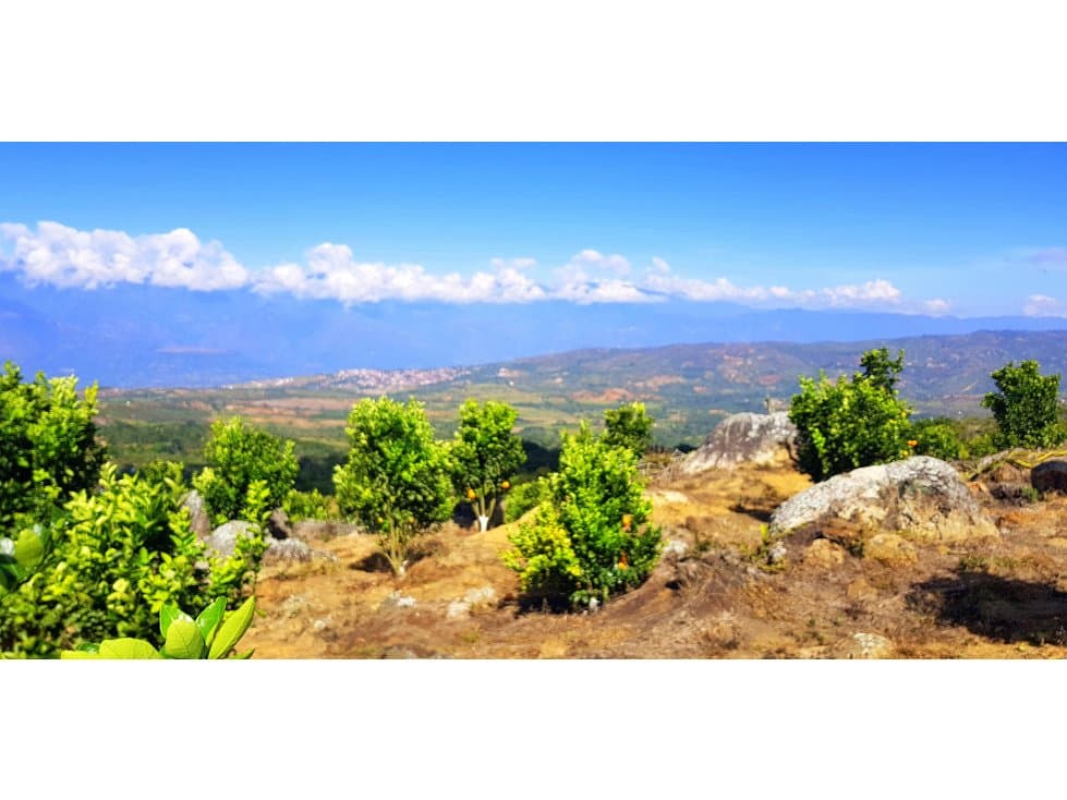 Vendo Finca Barichara Vereda San jose Los Gaques - 1